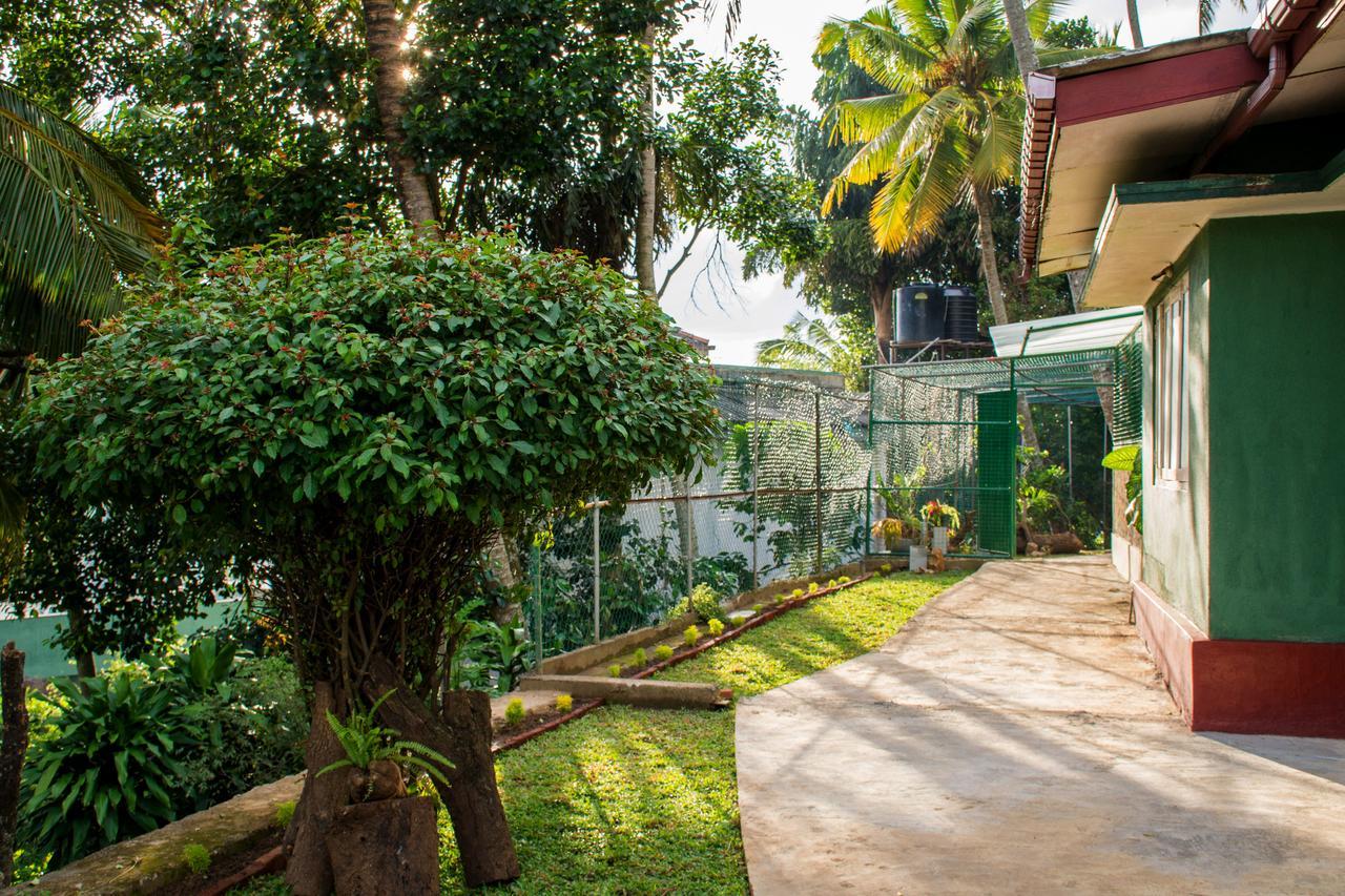 Udawatta Kele Villa Kandy Buitenkant foto