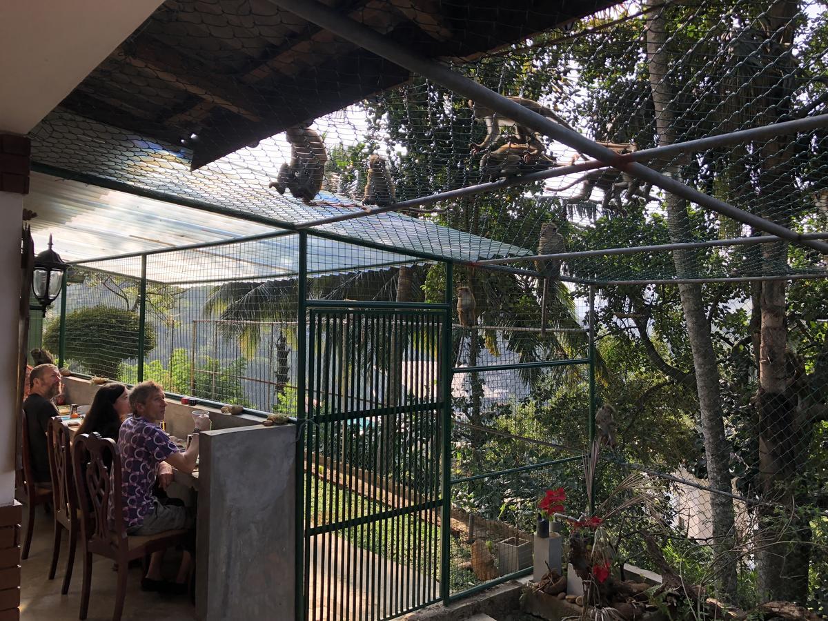 Udawatta Kele Villa Kandy Buitenkant foto
